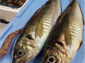 プランの魅力 本日の食材の説明 の画像