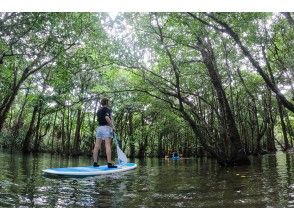 プランの魅力 새로운 감각! SUP(Stand Up Paddleboading) の画像