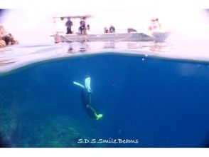 プランの魅力 スノーケリング の画像