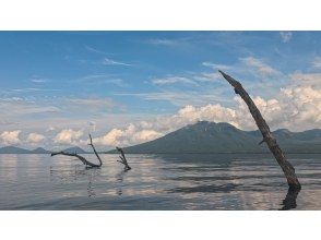 プランの魅力 の画像