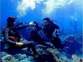 プランの魅力 乘船轻松潜水 の画像