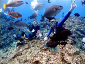 プランの魅力 您的教練將指導您。 の画像