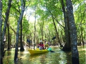 プランの魅力 水の森マングローブに囲まれて の画像