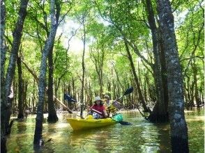 プランの魅力 被水森林红树林包围 の画像