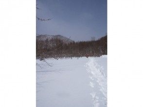 プランの魅力 Hokkaido is big! の画像