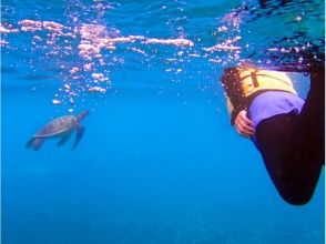 プランの魅力 遇見海龜！ の画像