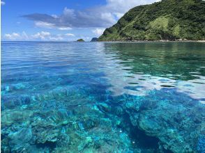 プランの魅力 Transparent coral♪ の画像