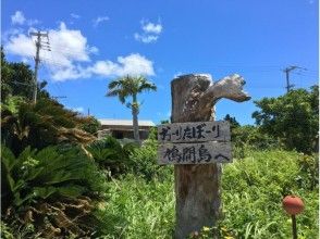 プランの魅力 鳩間島で休憩！ の画像