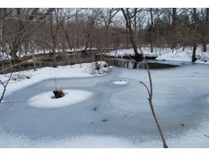 プランの魅力 Karesansui of ice の画像