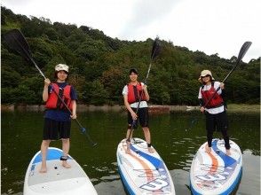 プランの魅力 任何人都可以站立 の画像