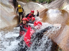 プランの魅力 水大好き の画像