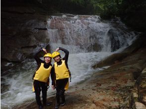 プランの魅力 オッケー の画像