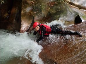 プランの魅力 つまんでー の画像