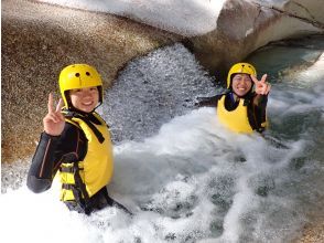 プランの魅力 ピスピス の画像