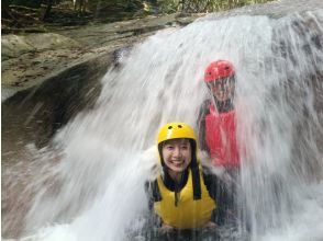 プランの魅力 頭や背中に の画像