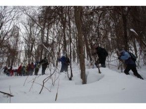 プランの魅力 一起在雪地里散步 の画像