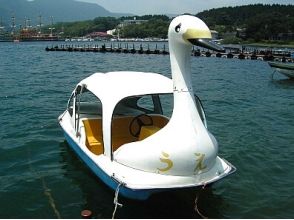 プランの魅力 Super Swan Boat の画像