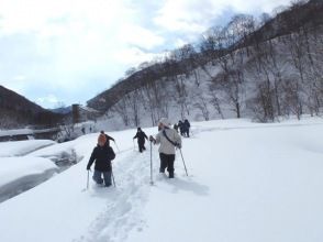 プランの魅力 让我们稳步前进！ の画像