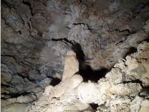 プランの魅力 cave exploration の画像