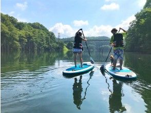 プランの魅力 幻想的な景色の中を進んで行きます♪ の画像