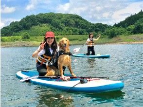 プランの魅力 わんちゃんも一緒に体験できます！大型犬もOKですよ～♪ の画像