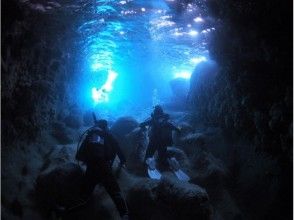 プランの魅力 Blue cave experience diving の画像