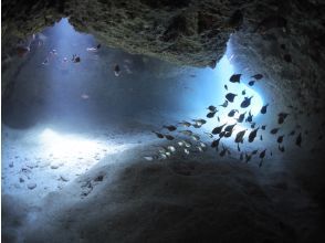 プランの魅力 下地島　ショートケーブ の画像