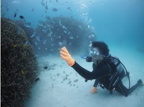 プランの魅力  の画像