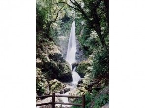 プランの魅力 雄滝 の画像