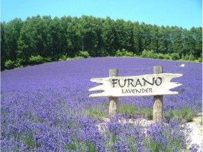 プランの魅力 Lavender field at the in factory の画像