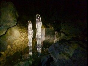 プランの魅力 What is this? The cave is full of wonders の画像