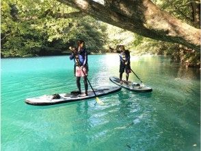 プランの魅力 Take a forest bath while on the surface of the water! の画像