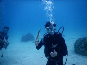 プランの魅力 Even beginners can dive easily! の画像