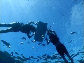 プランの魅力 Snorkeling time was spared の画像