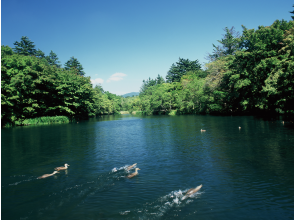 プランの魅力 新緑の雲場池 の画像