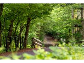 プランの魅力 木立の別荘地をのんびりサイクリング の画像