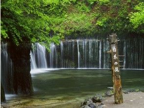 プランの魅力 Shiraito瀑布 の画像