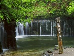 プランの魅力 白糸の滝 の画像