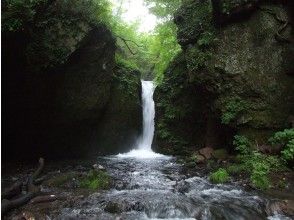 プランの魅力 Ryugaeshi的瀑布 の画像