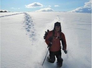 プランの魅力 在粉雪的雪原中行走的非凡世界 の画像