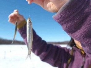 プランの魅力 釣れました！ の画像