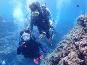 プランの魅力 You don't have to swim! の画像