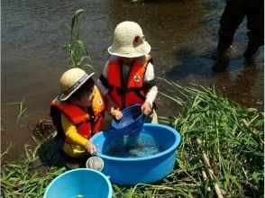 プランの魅力 お子様に大人気 の画像