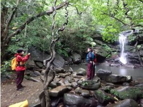 プランの魅力 クーラの滝 の画像