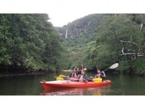 プランの魅力 Mangrove canoe の画像