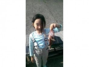 プランの魅力 お子さんも楽しめます! の画像