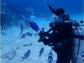 プランの魅力 興奮の餌付け！ の画像