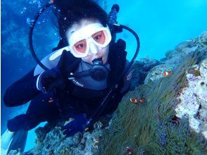 プランの魅力 水下拍摄数据是免费的！ の画像