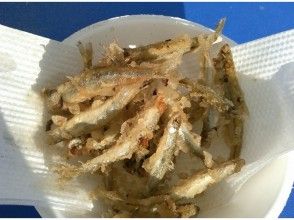 プランの魅力 Let's eat tempura with the smelt that we caught ourselves! の画像