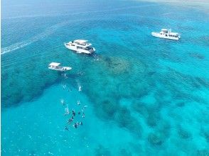 プランの魅力 ケラマブルーの海で遊ぼう♪ の画像
